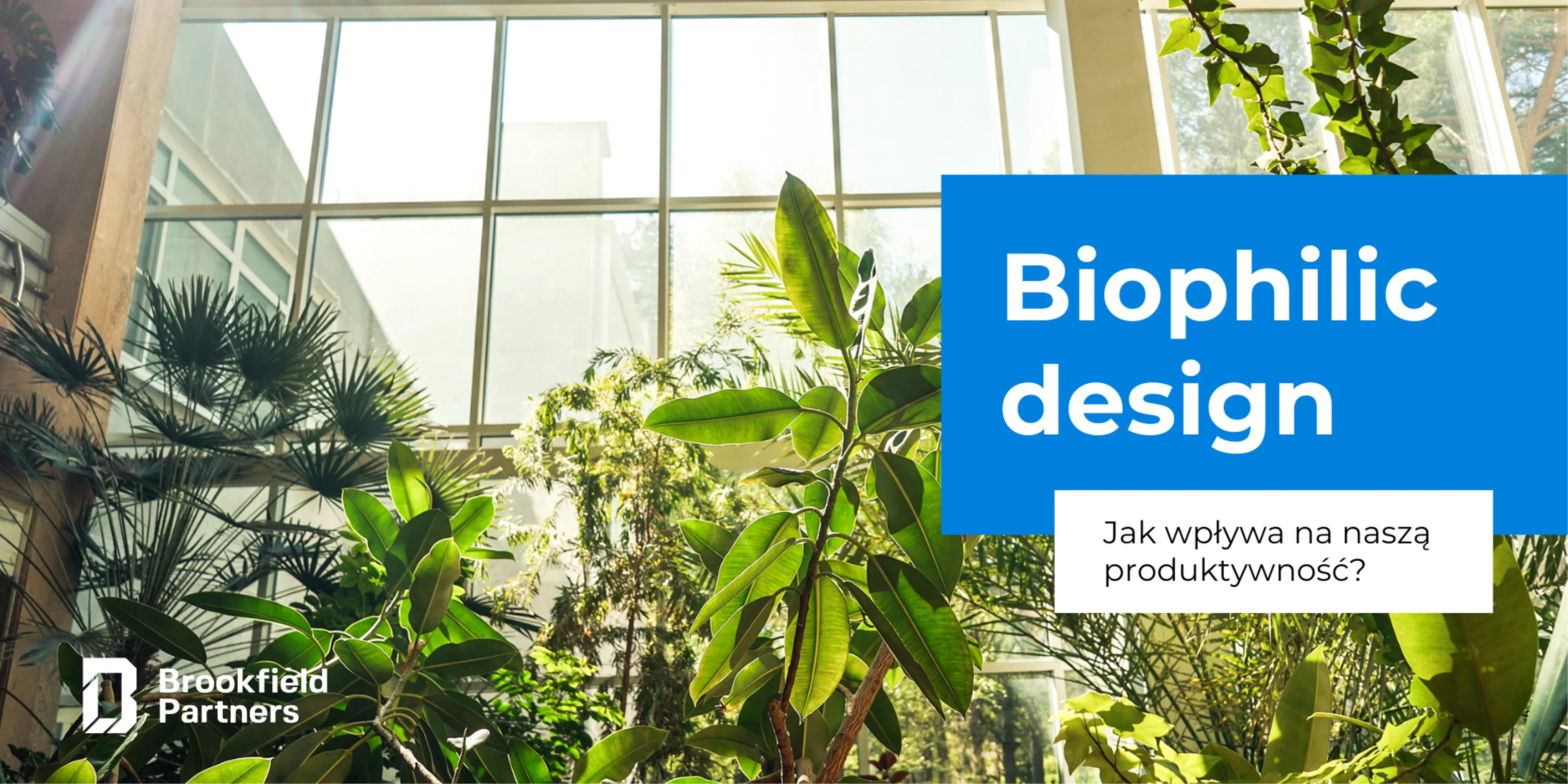 Biophilic Design - Czy i jak wpływa na naszą produktywność?