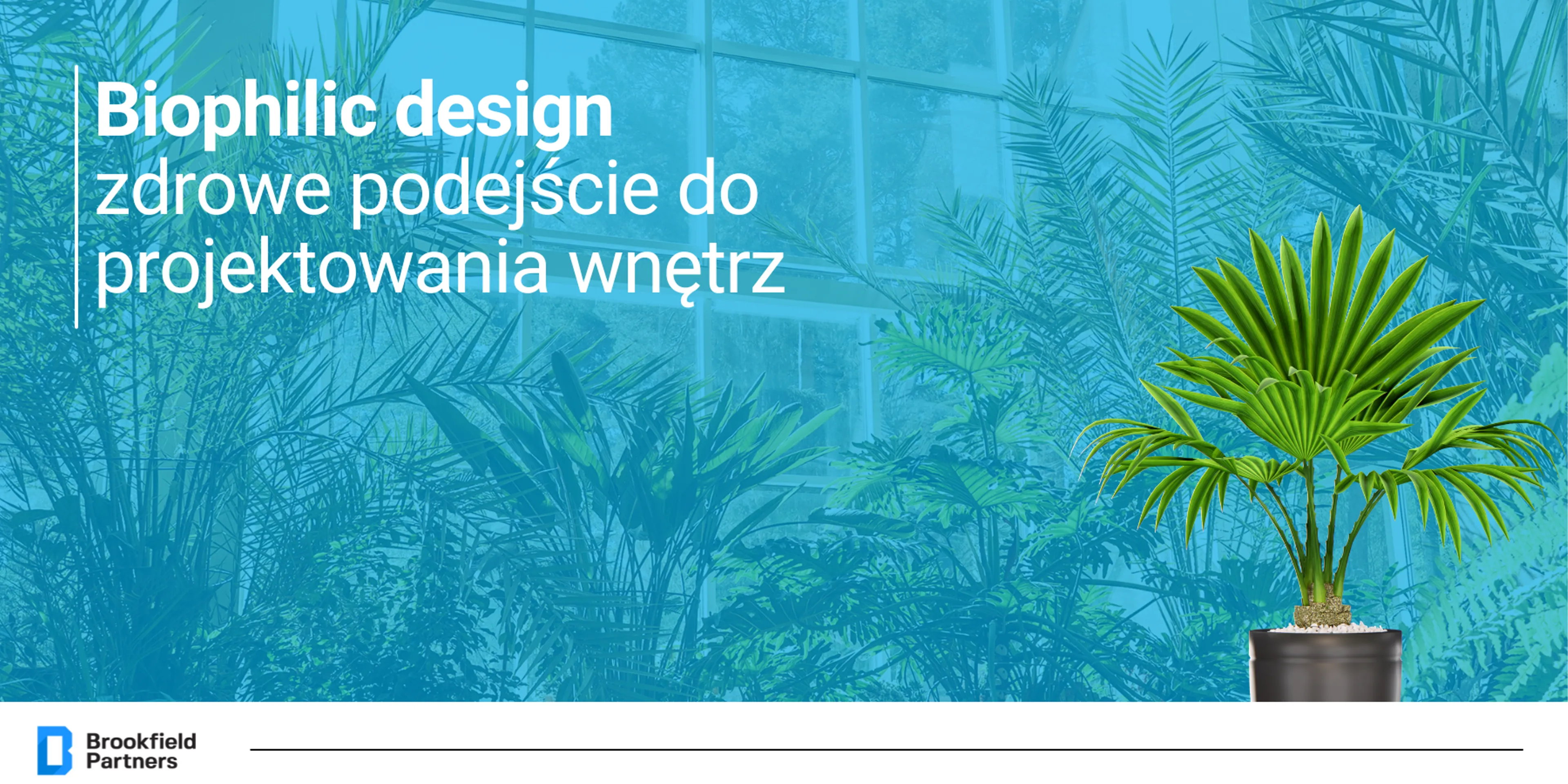 Biophilic design - zdrowe podejście do projektowania wnętrz