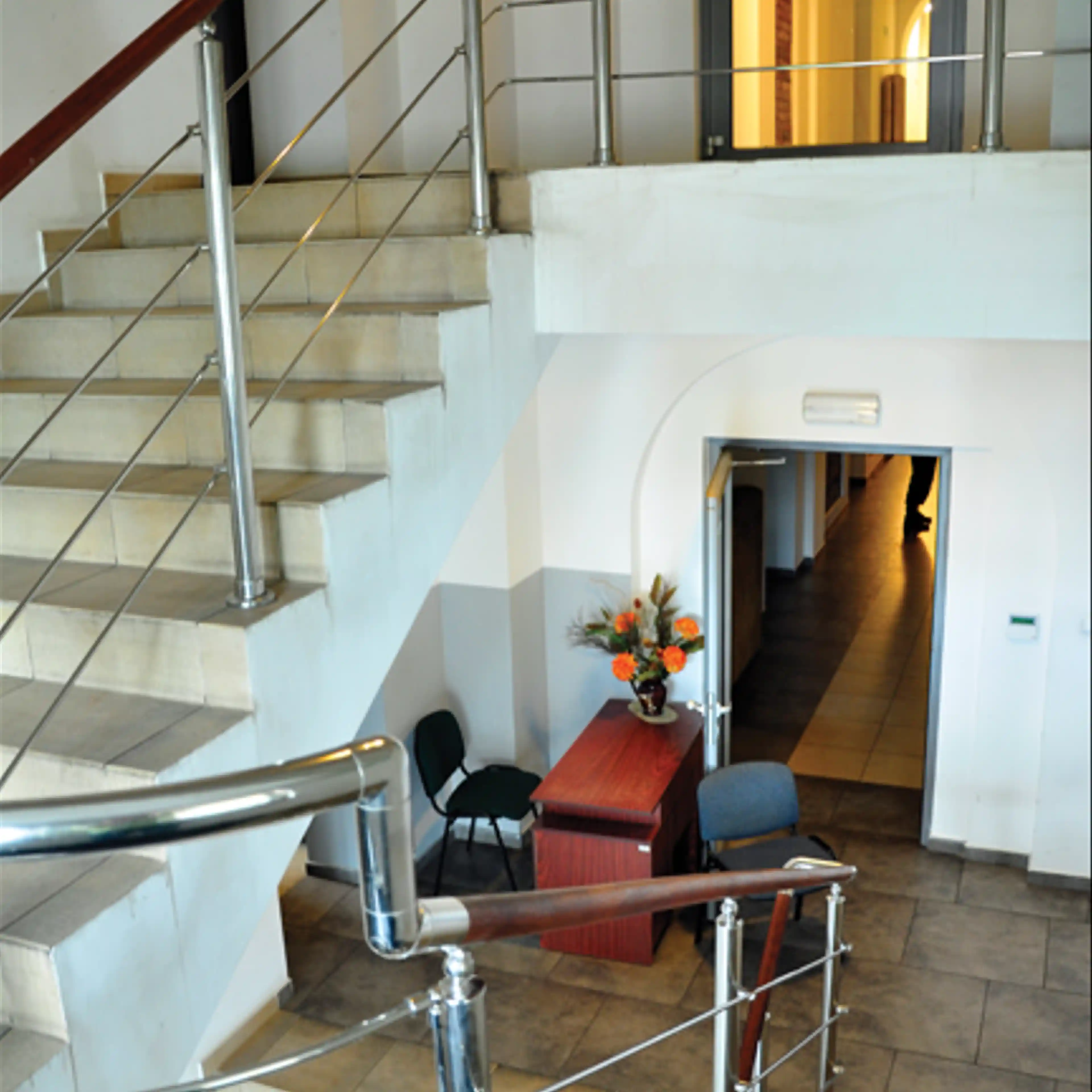 Żelazna 9, Żelazna 9, Katowice, Dąb