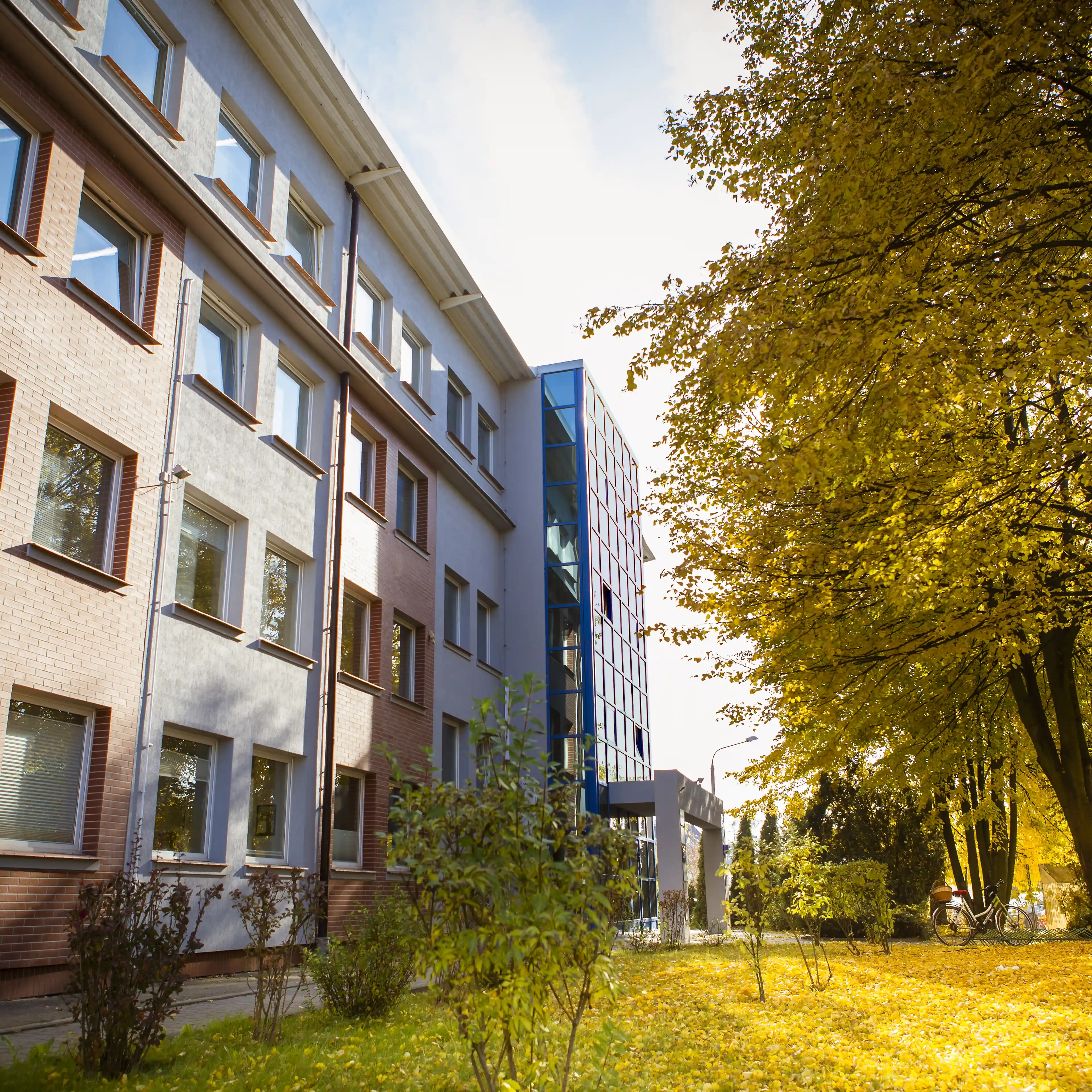 Ziębicka 35 / Centrum Tulipan, Ziębicka 35, Poznań, Grunwald