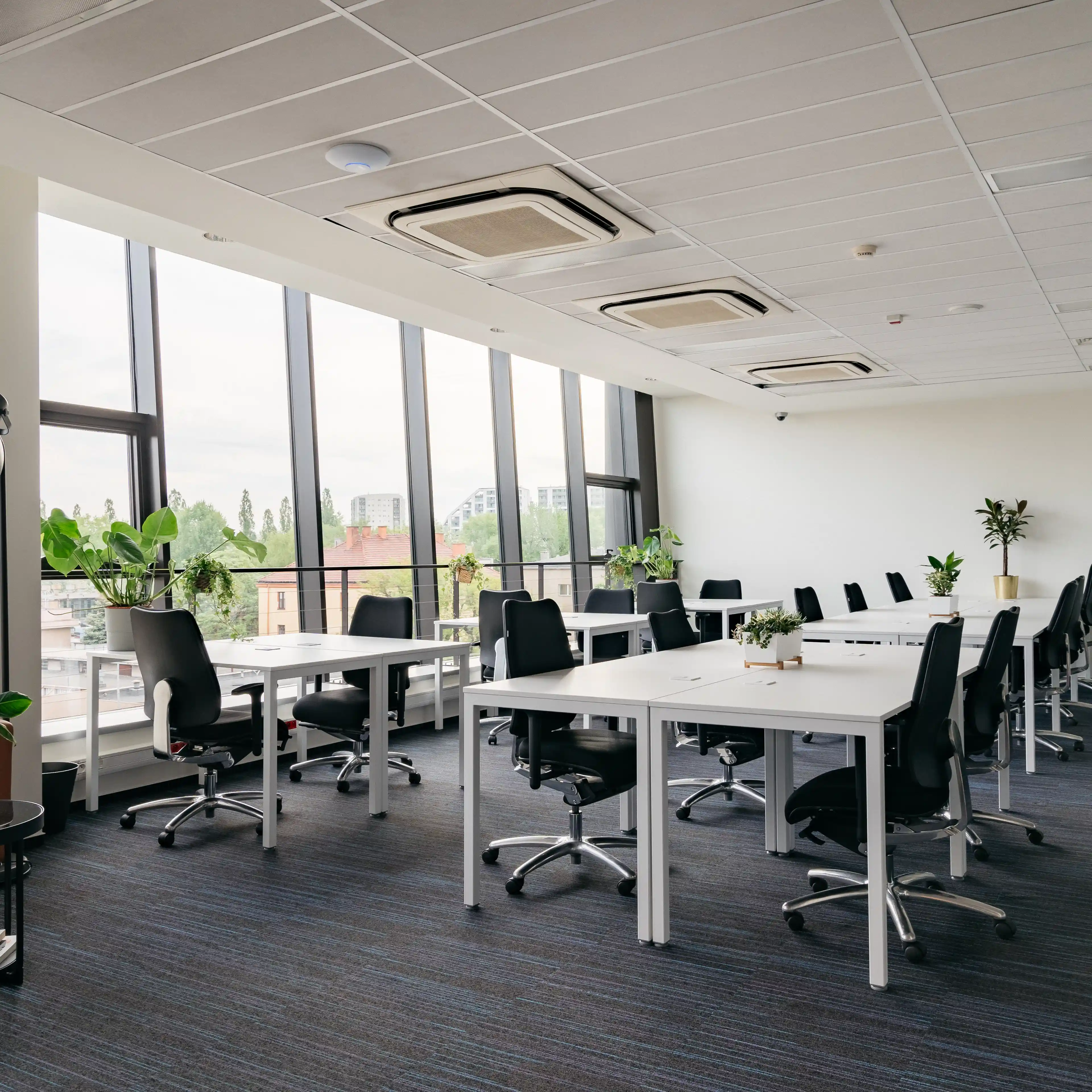 M65 Meduza - Biura serwisowane, Mogilska 65, Krakow, Śródmieście