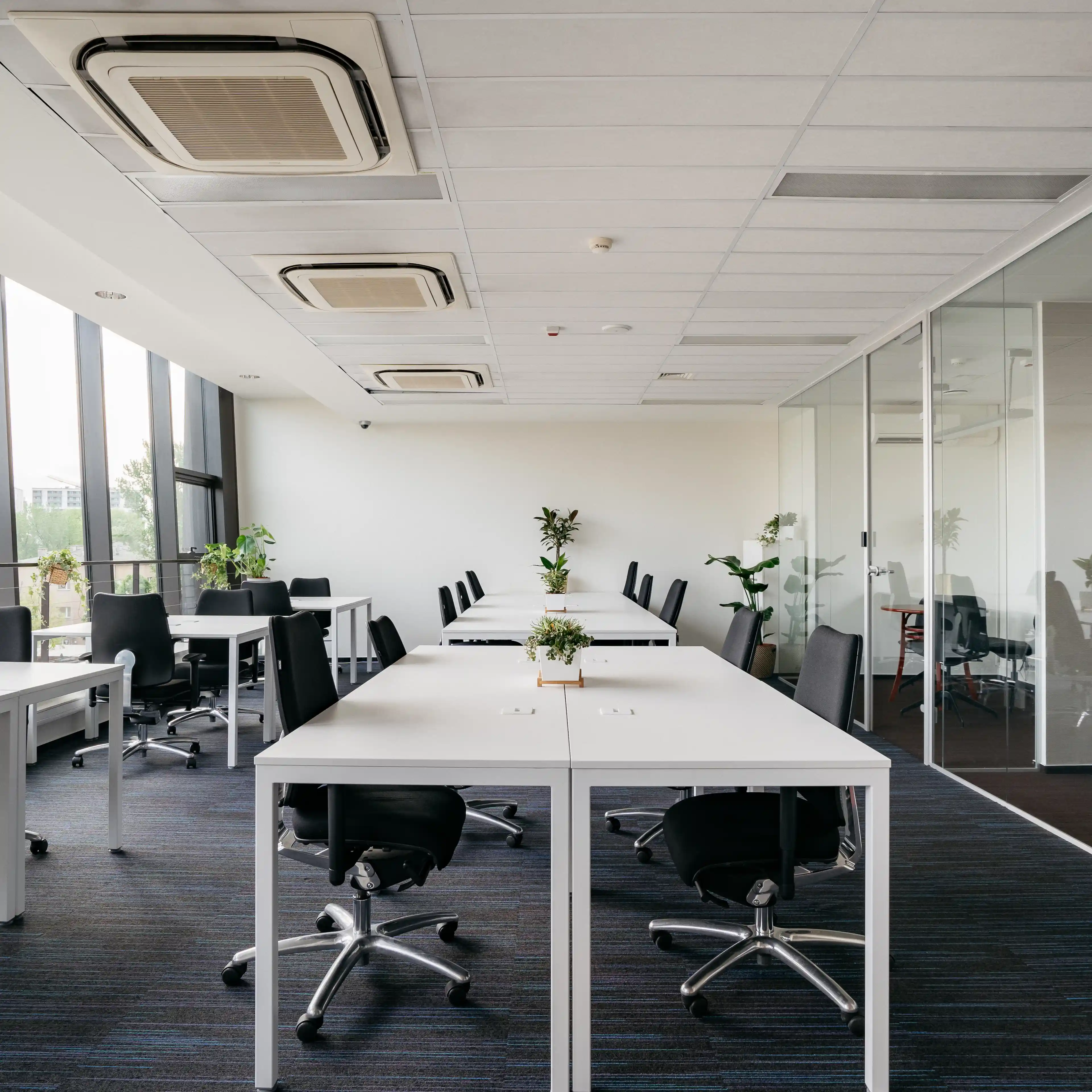 M65 Meduza - Biura serwisowane, Mogilska 65, Krakow, Śródmieście