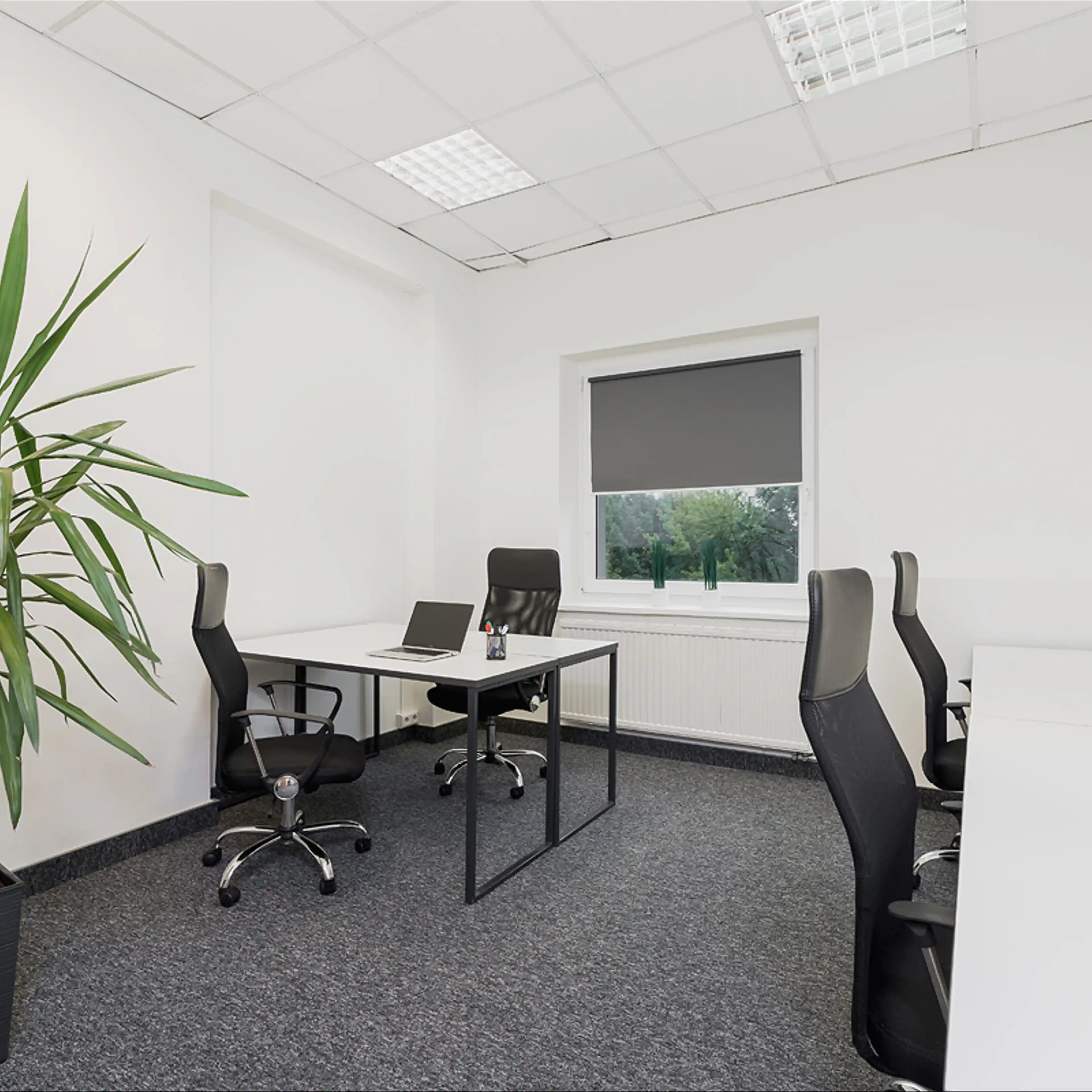 Racławicka 58 - Biura serwisowane, Racławicka 58, Kraków, Północny Wschód