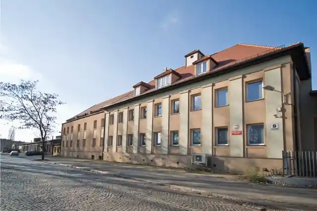 Żelazna 9, Żelazna 9, Katowice, Dąb