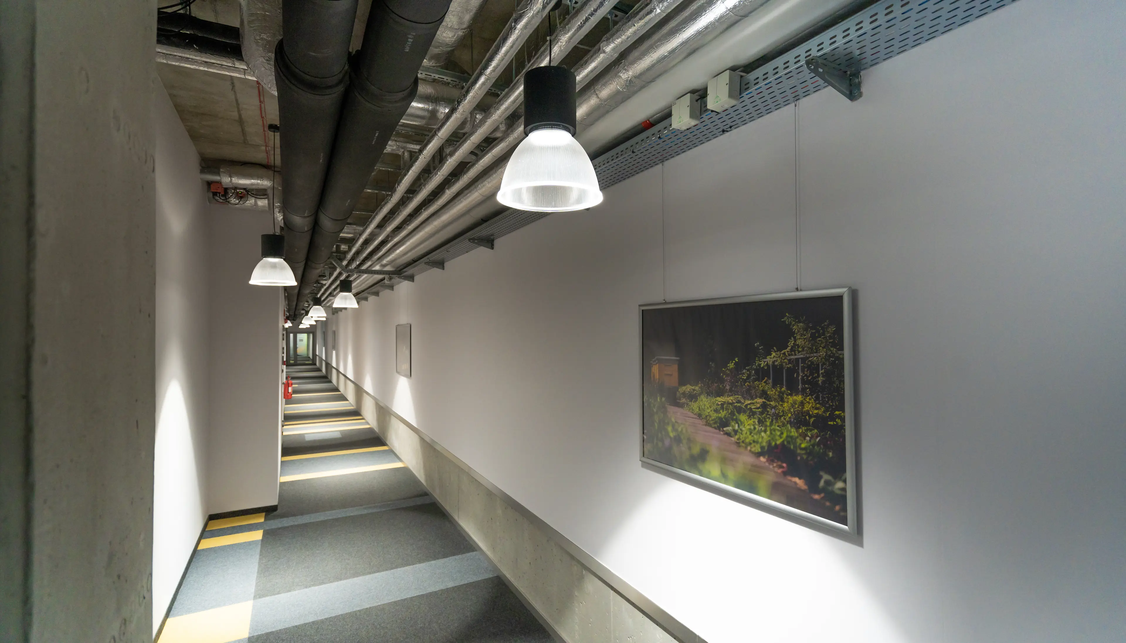 Zielony by Synergia, Wólczańska 143, Łódź, Śródmieście