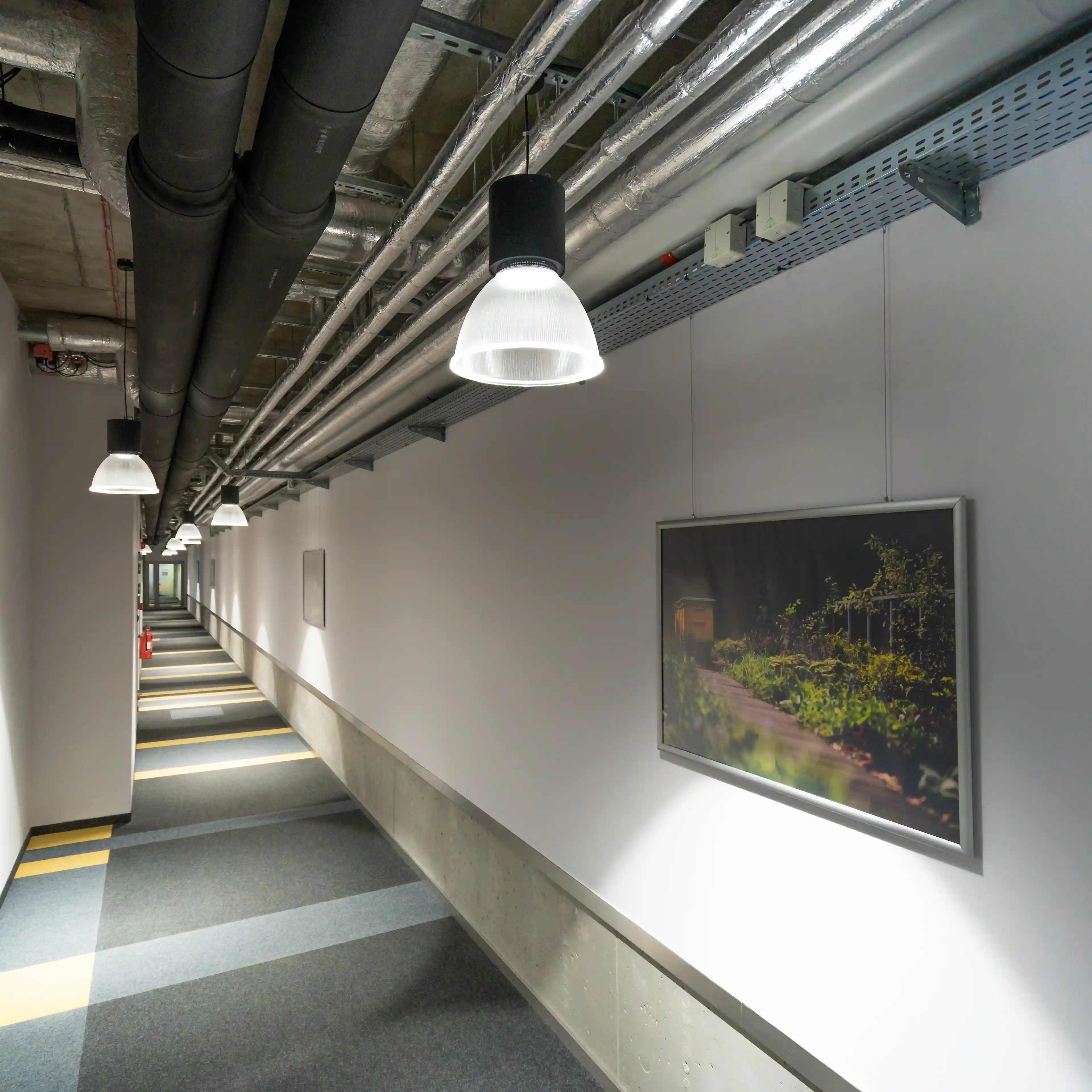 Zielony by Synergia, Wólczańska 143, Łódź, Śródmieście