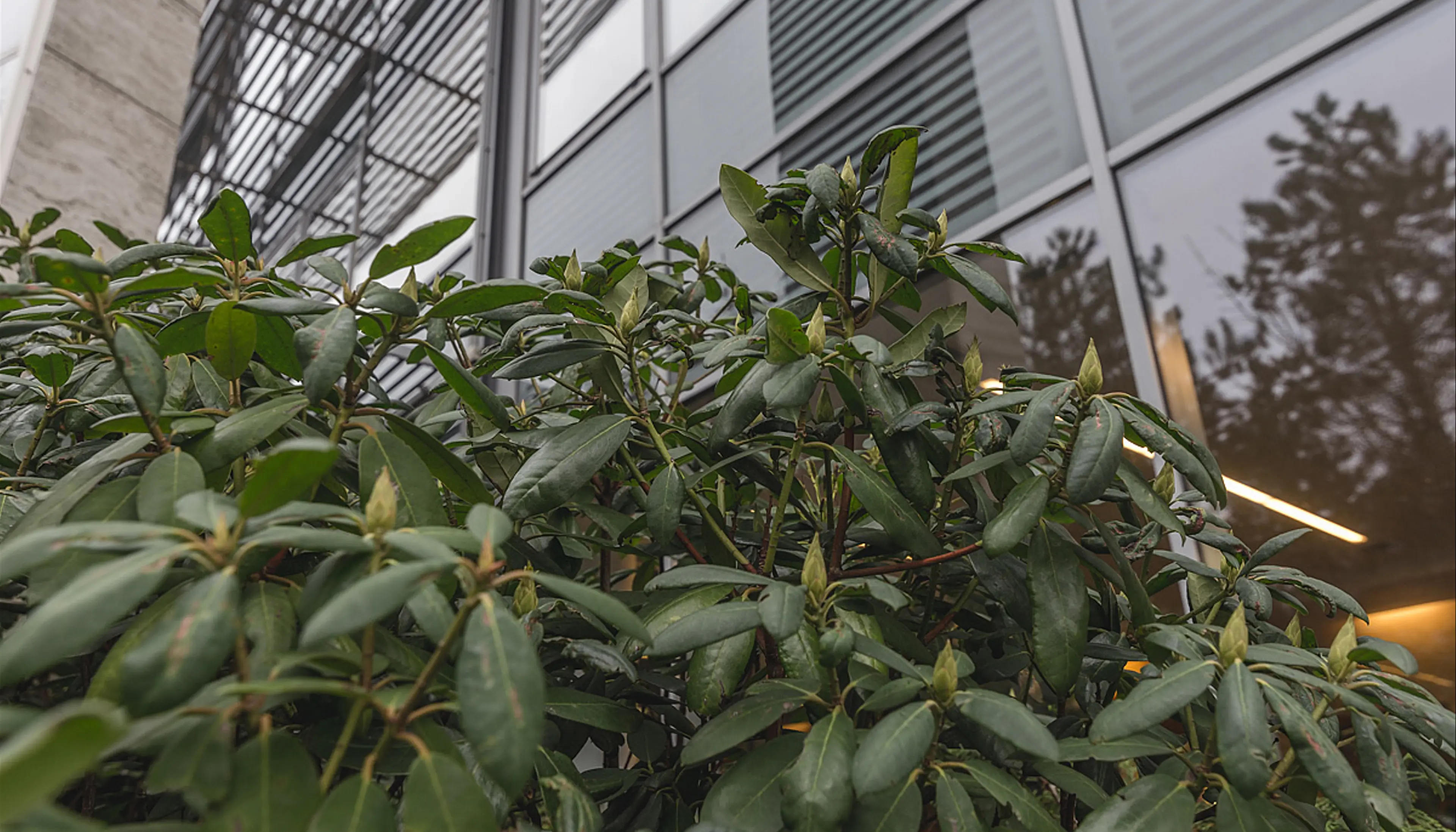 Ryżowa 49 Business Center, Ryżowa 49, Warszawa, Ochota i Włochy