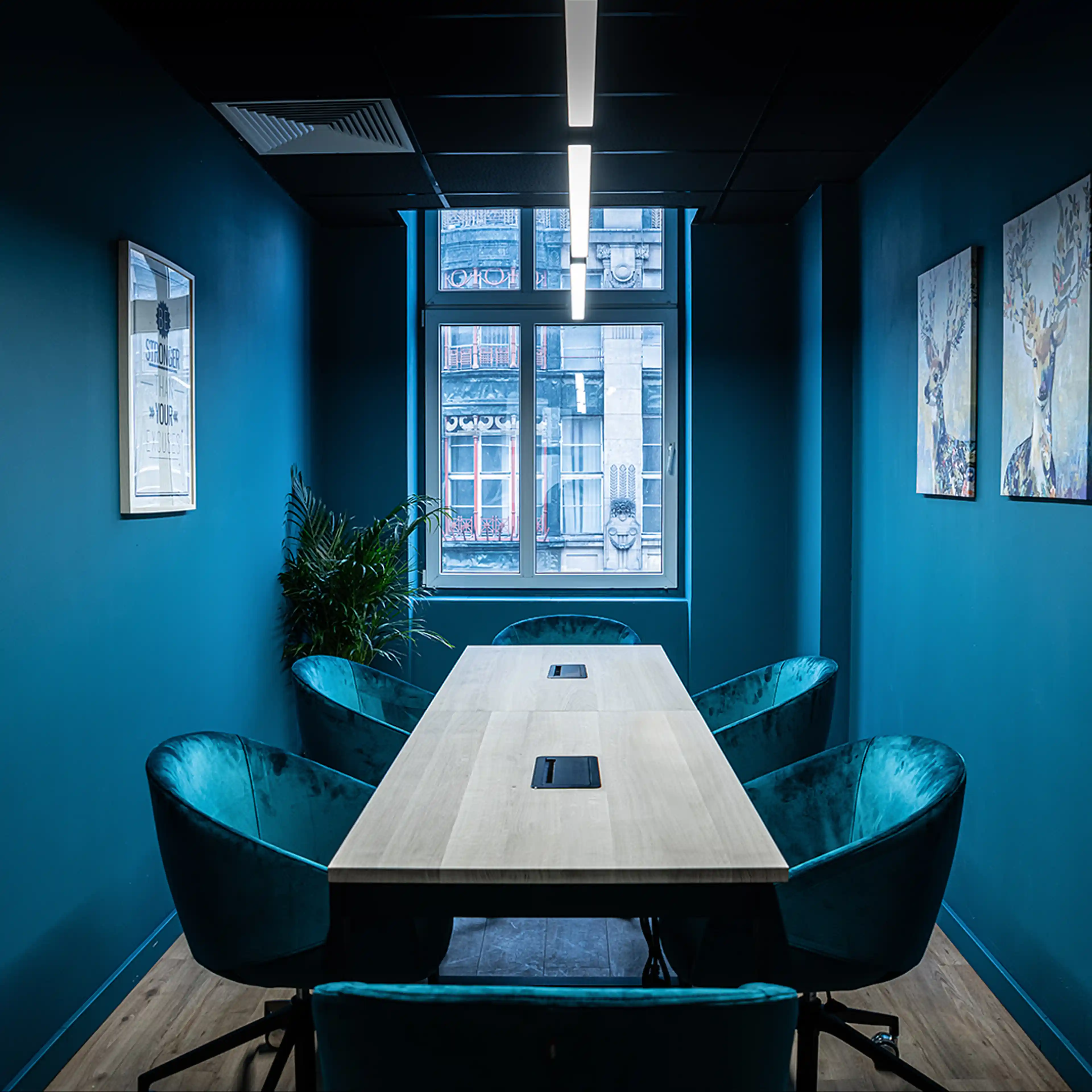 Świdnicka 12-16 - biura serwisowane, Świdnicka 12-16, Wrocław, Stare Miasto