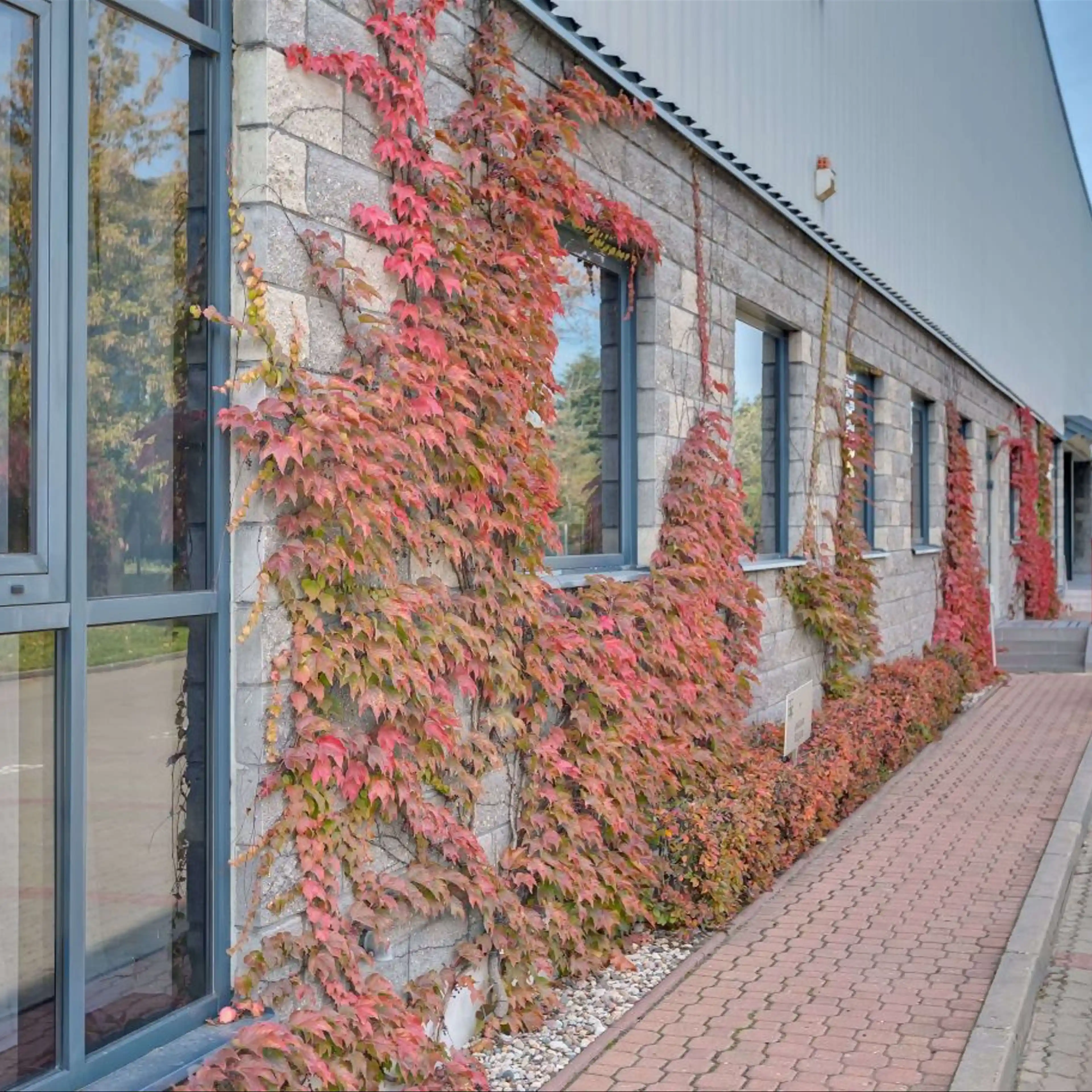 Warsaw Distribution Center, Szyszkowa 35/37, Warsaw, Ochota i Włochy