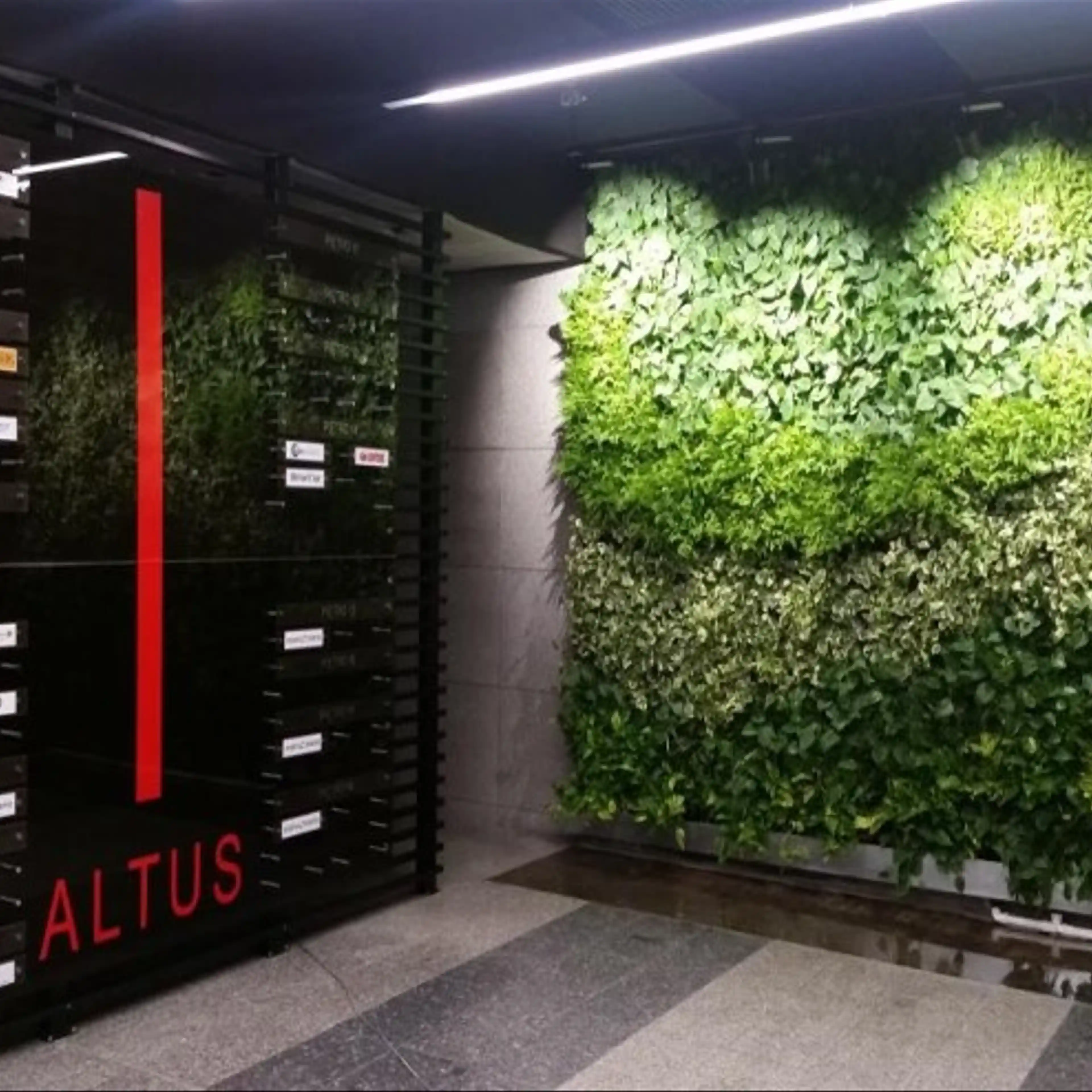 Altus, Uniwersytecka 13, Katowice, Śródmieście