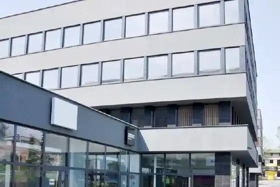 Chorzowska 108, Chorzowska 108, Katowice, Dąb