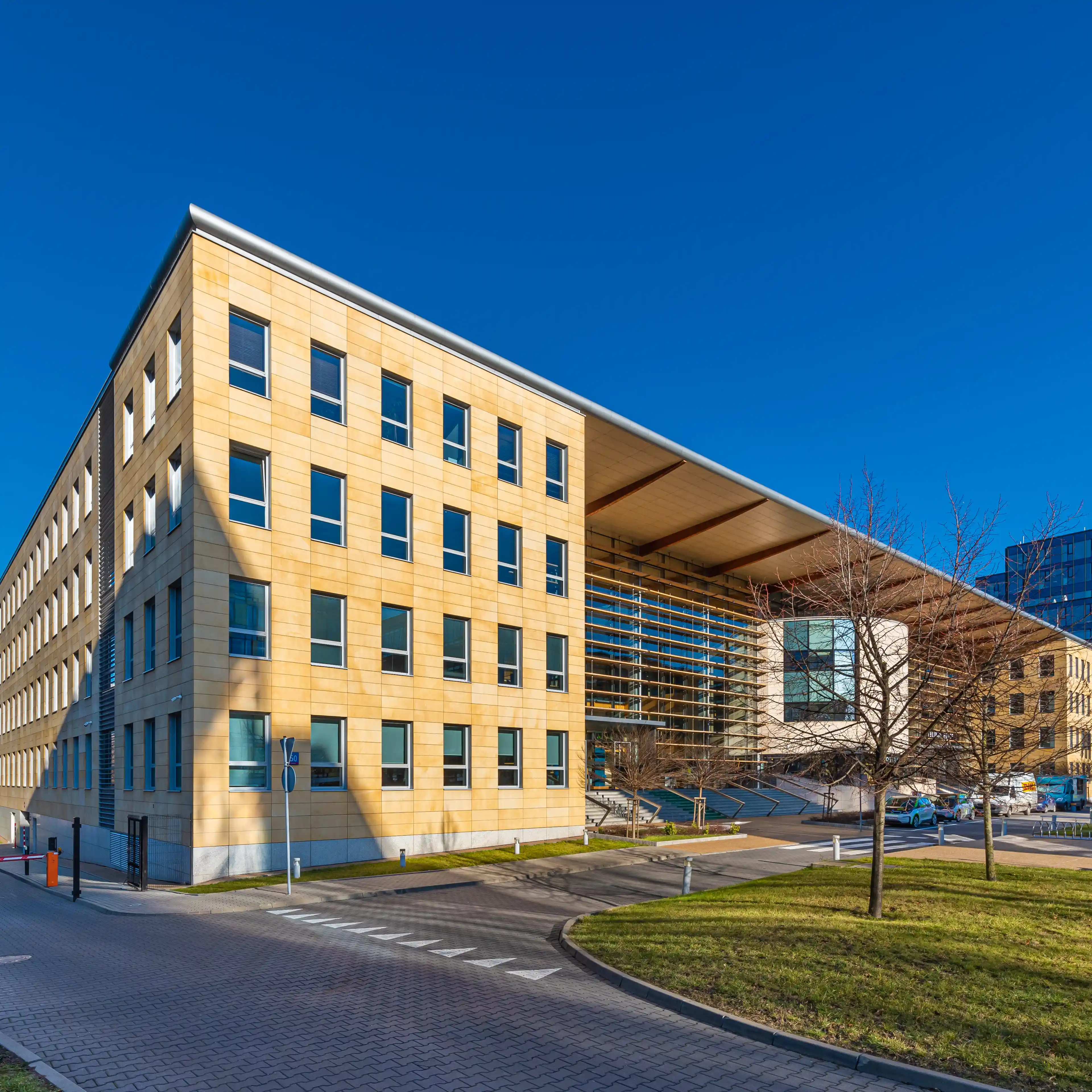 Tulipan House, Domaniewska 50, Warszawa, Mokotów