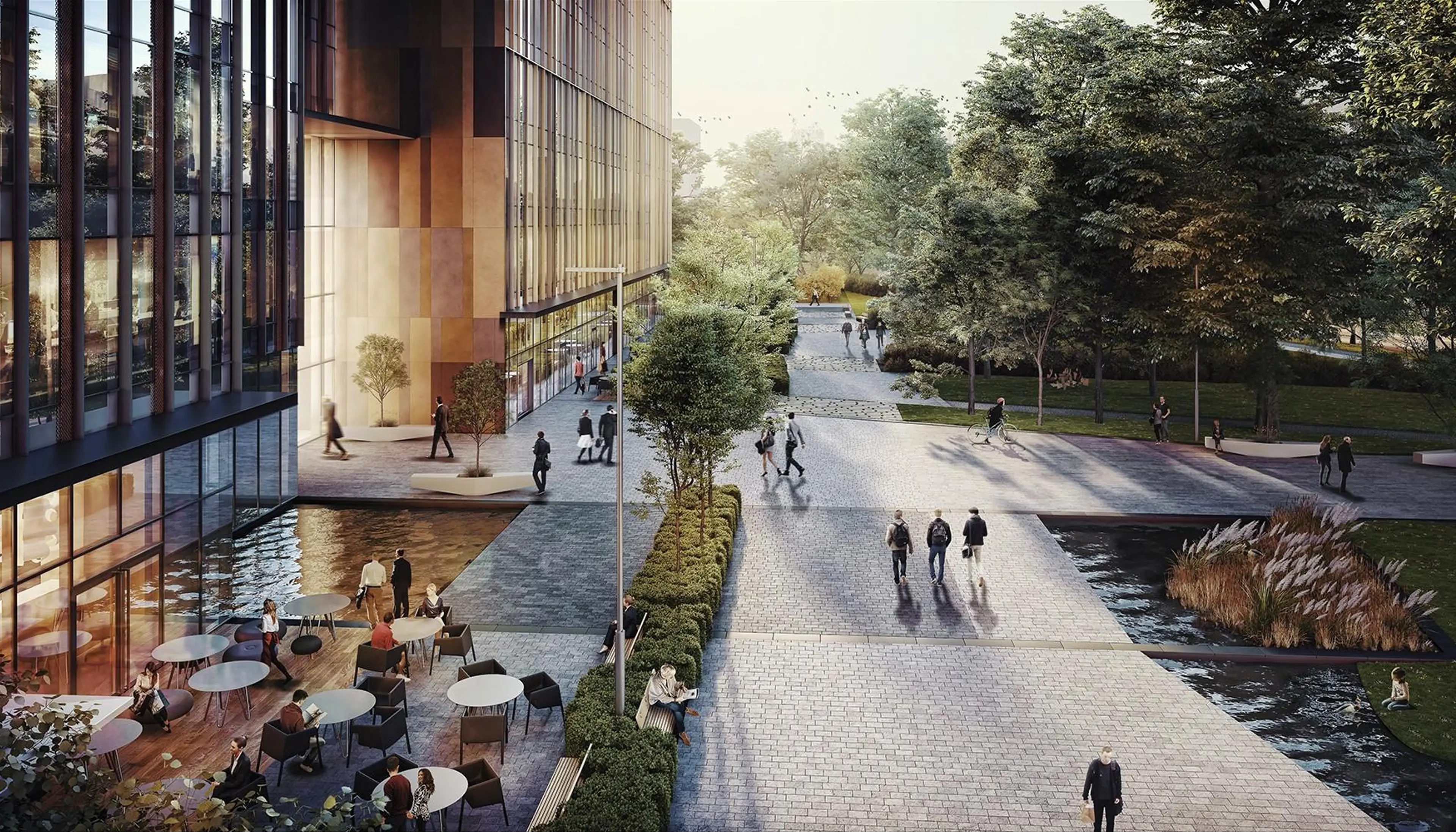 Forest - Burakowska 14, Burakowska 14, Warsaw, Żoliborz