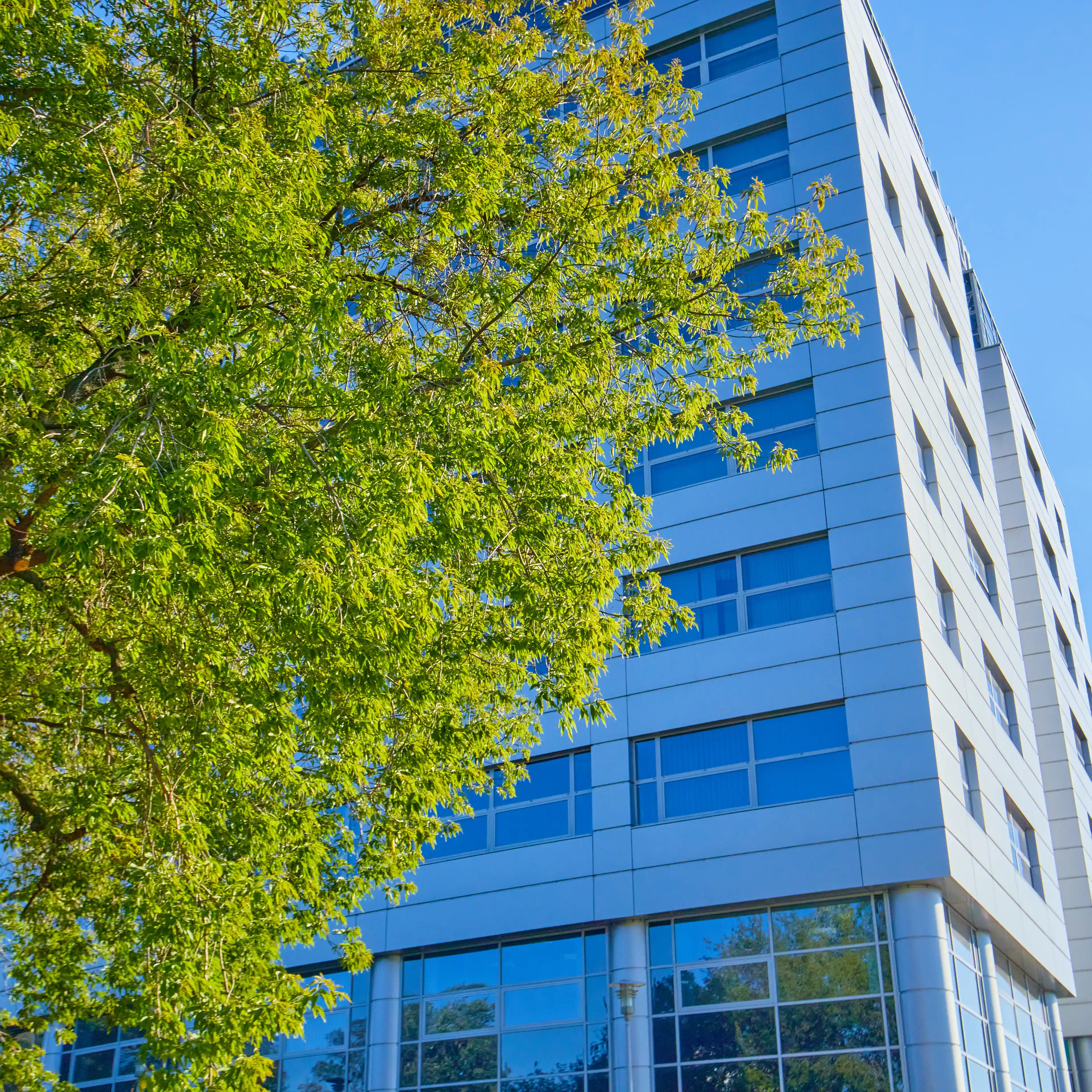 Sonata, Komitetu Obrony Robotników 49, Warszawa, Ochota i Włochy