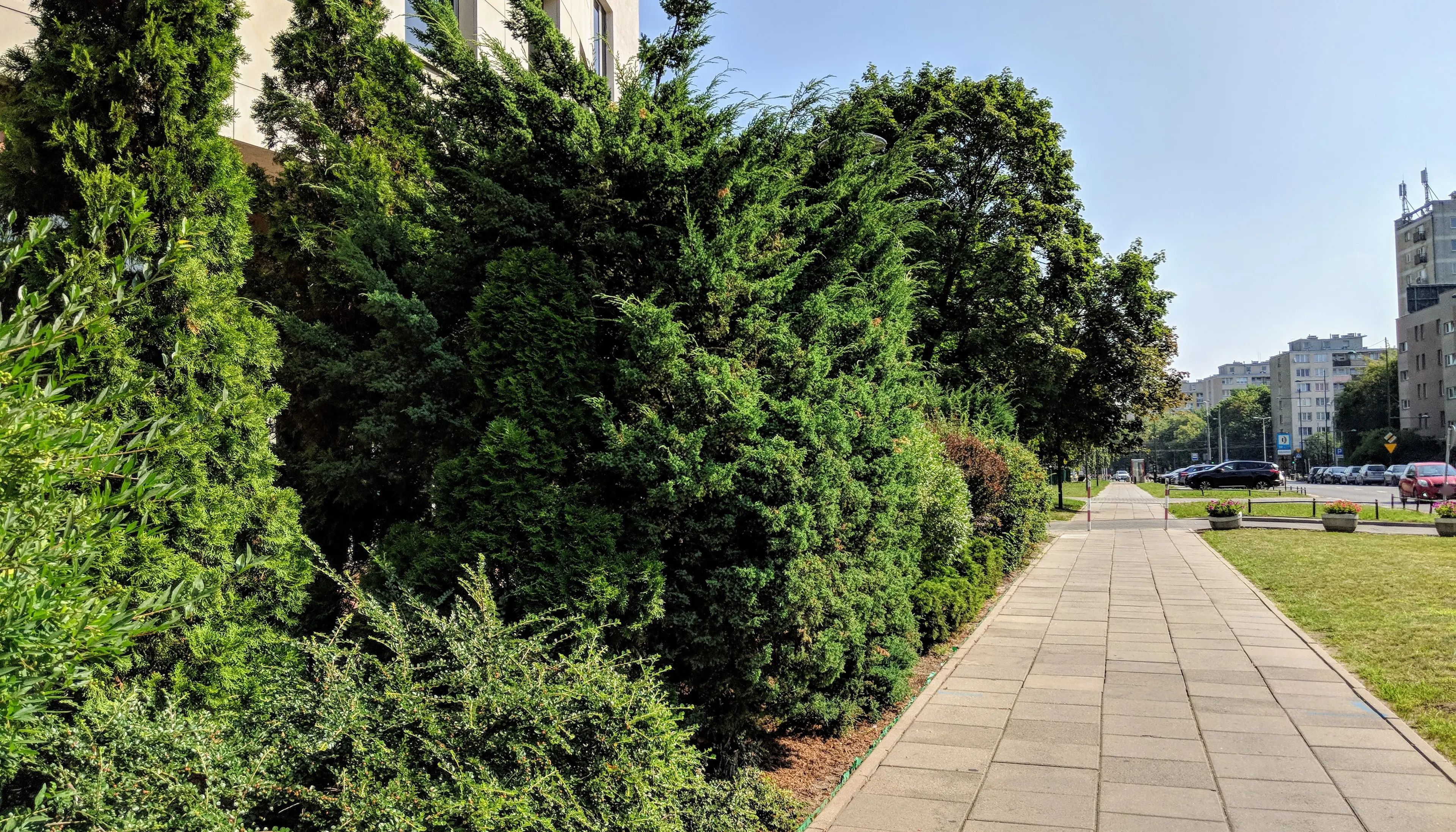 Stawki 40, Stawki 40, Warsaw, Wola