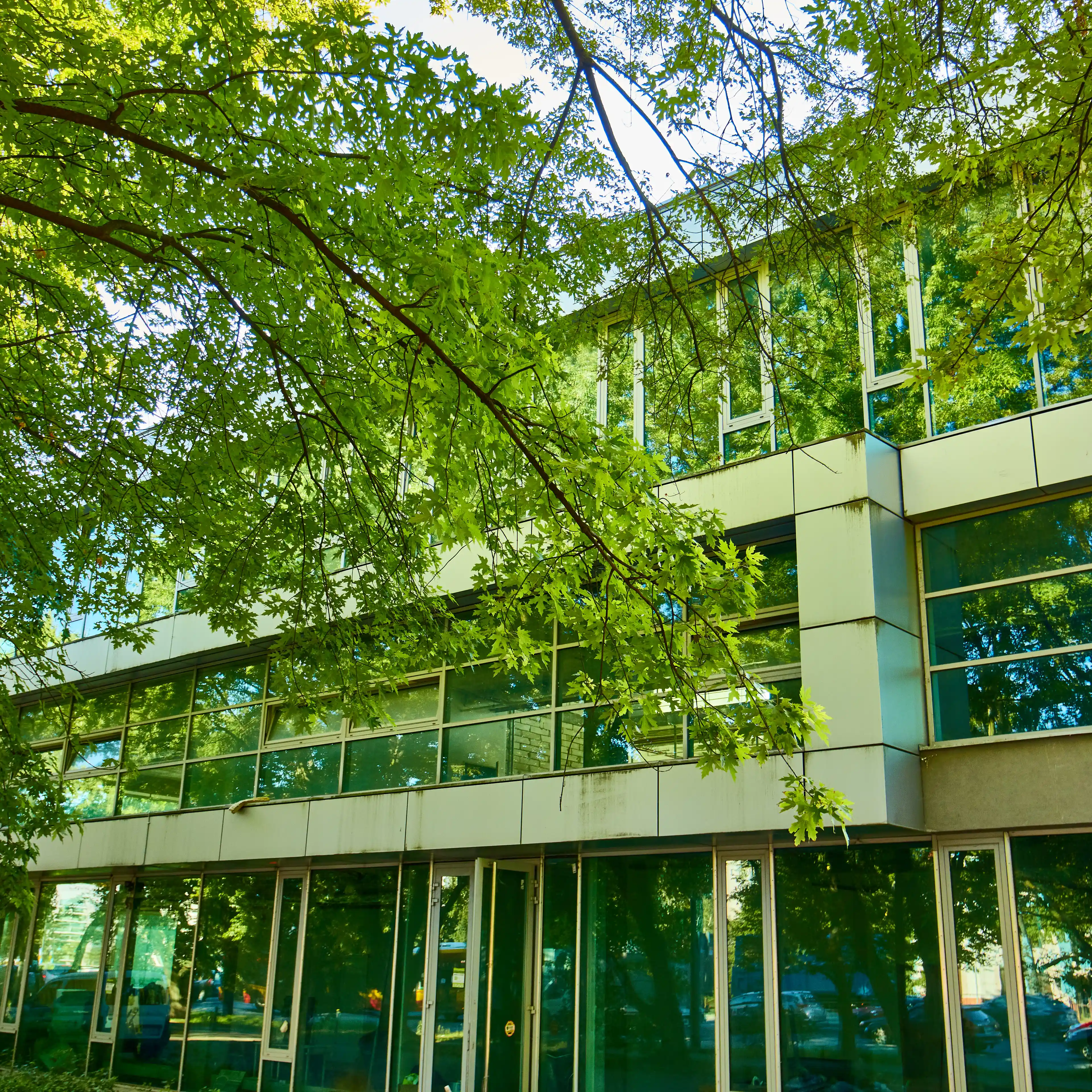 Puławska 298, Puławska 298, Warszawa, Ursynów