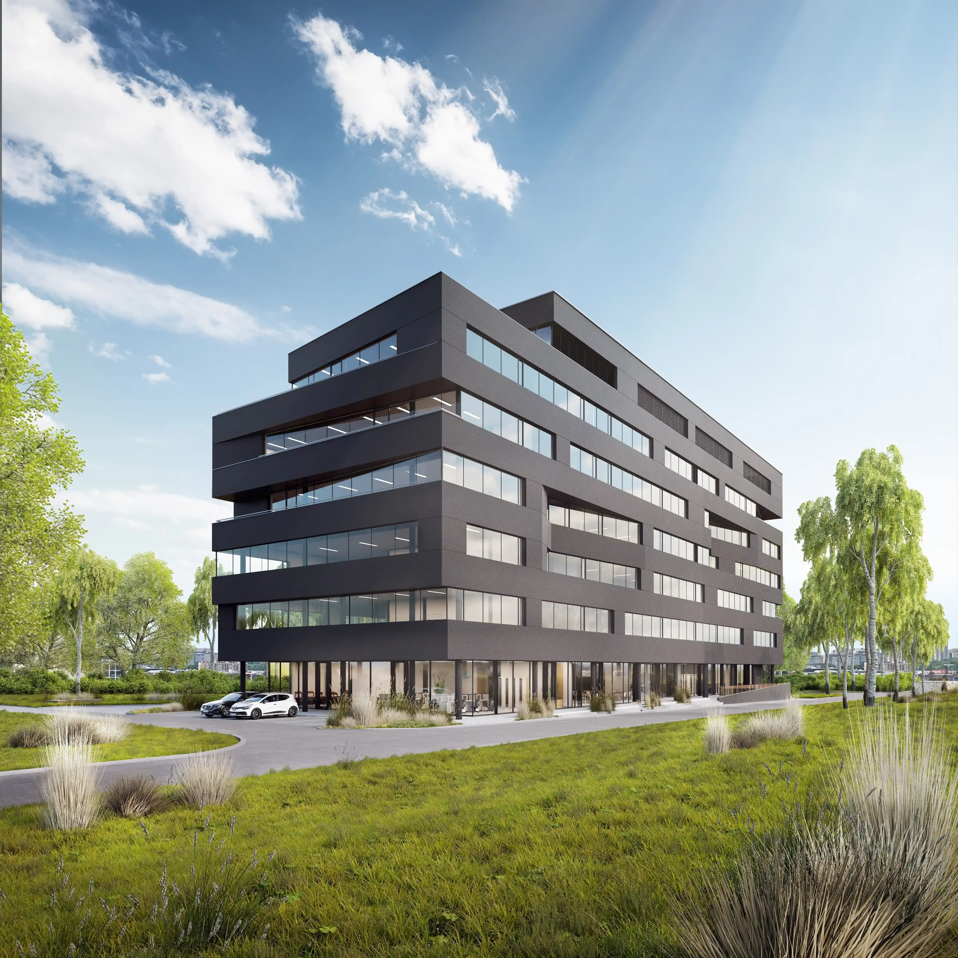 Carbon Office, Węglowa 9, Katowice, Dąb