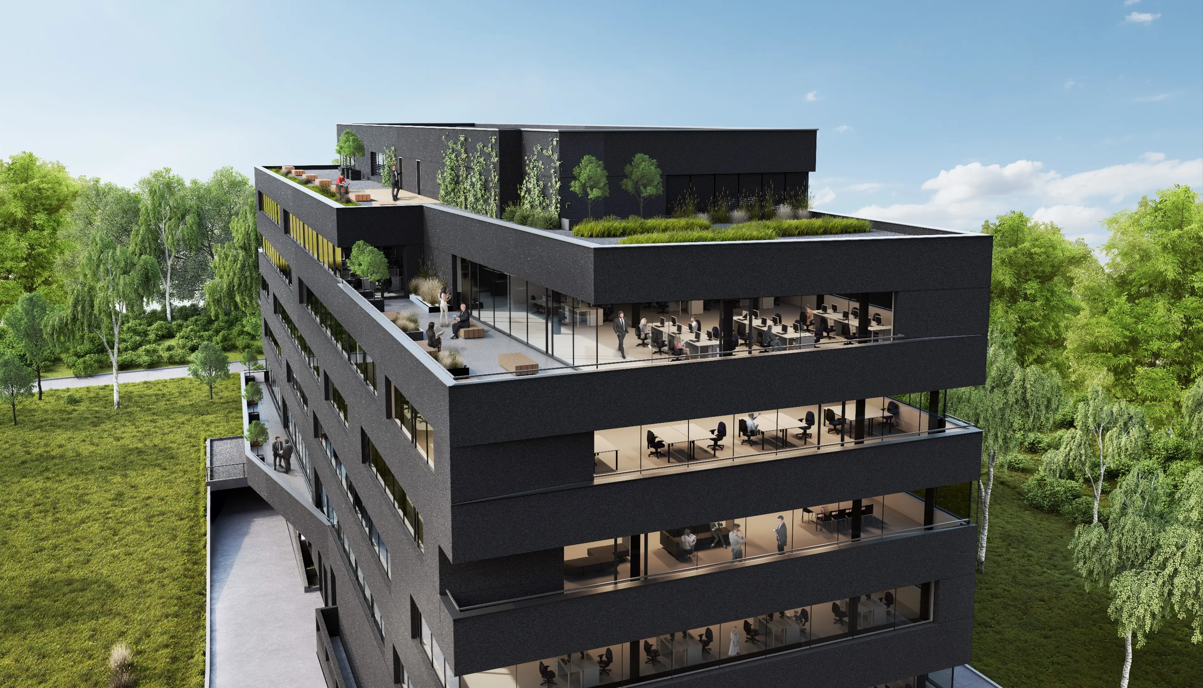 Carbon Office, Węglowa 9, Katowice, Dąb