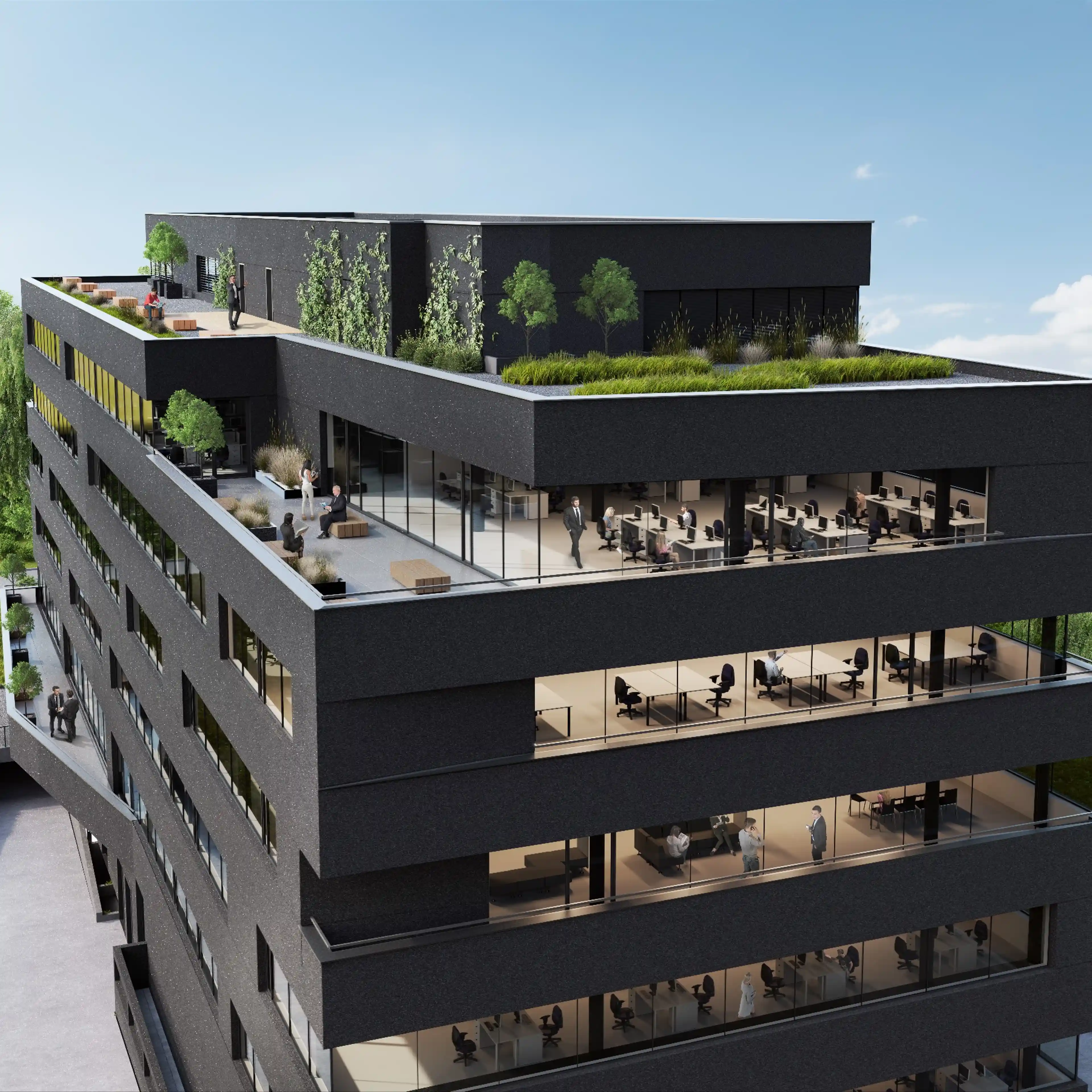 Carbon Office, Węglowa 9, Katowice, Dąb