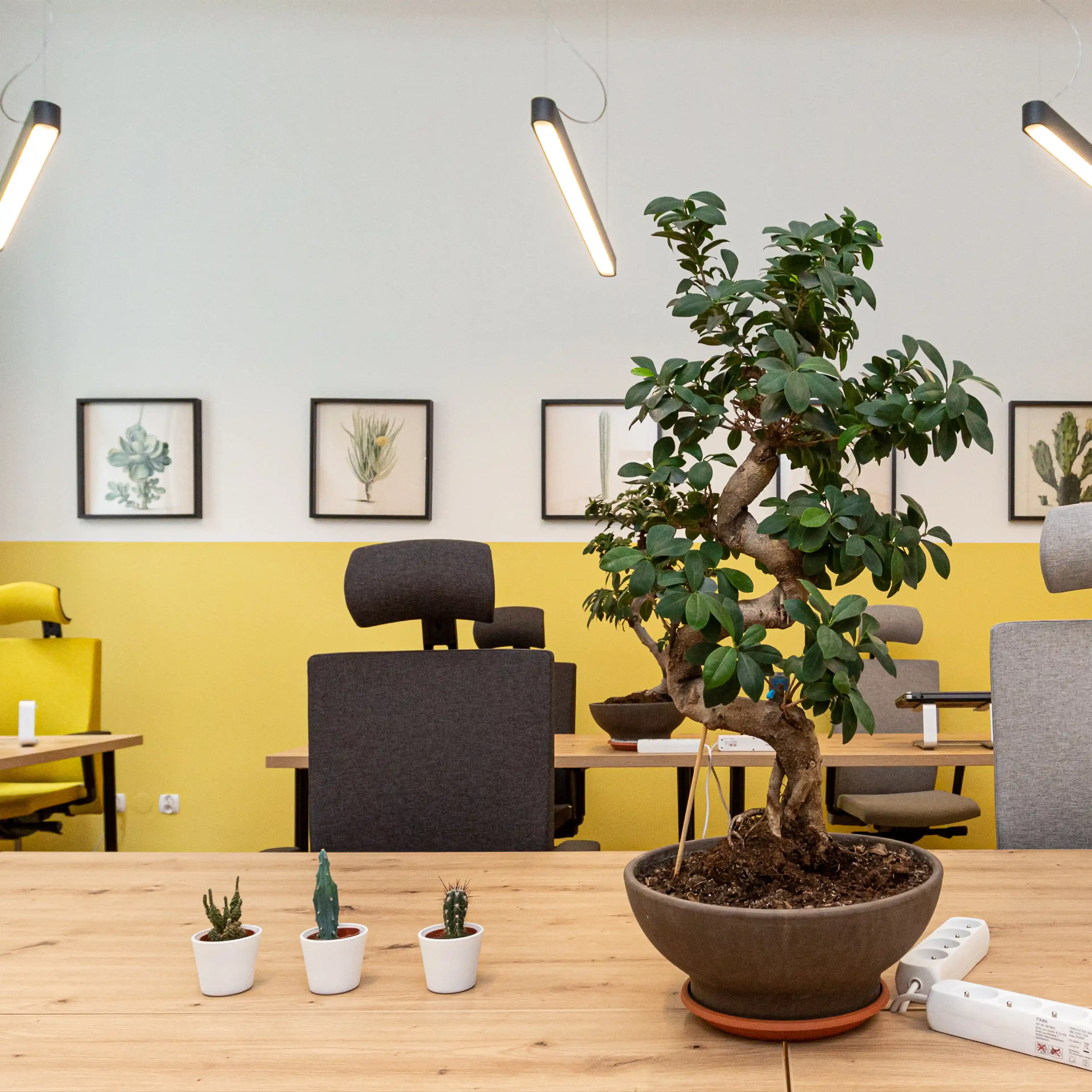 Sarego 18 - Biura serwisowane, Sarego 18, Krakow, Śródmieście