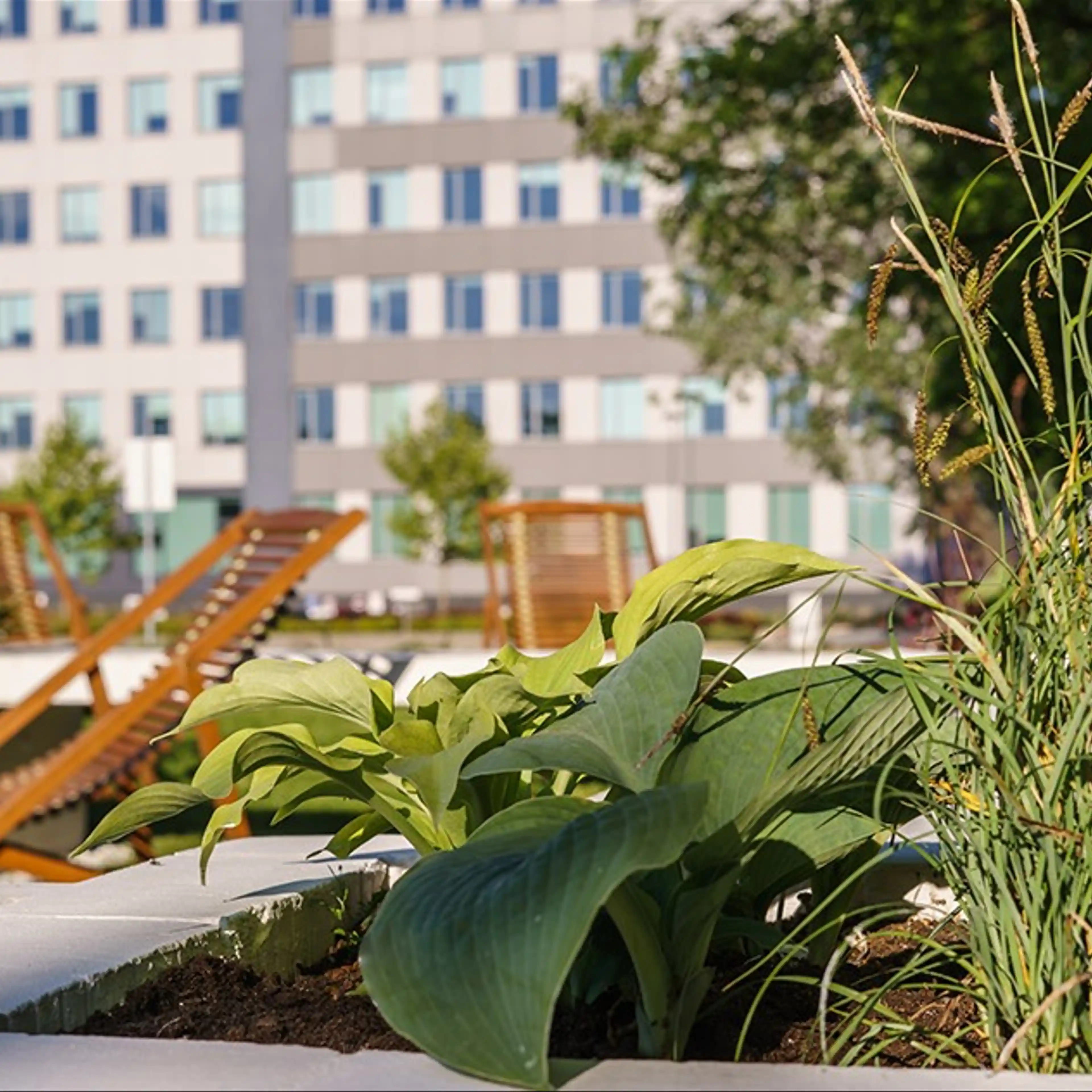 West Forum B / West House 1B, Strzegomska 142 A, Wrocław, Fabryczna