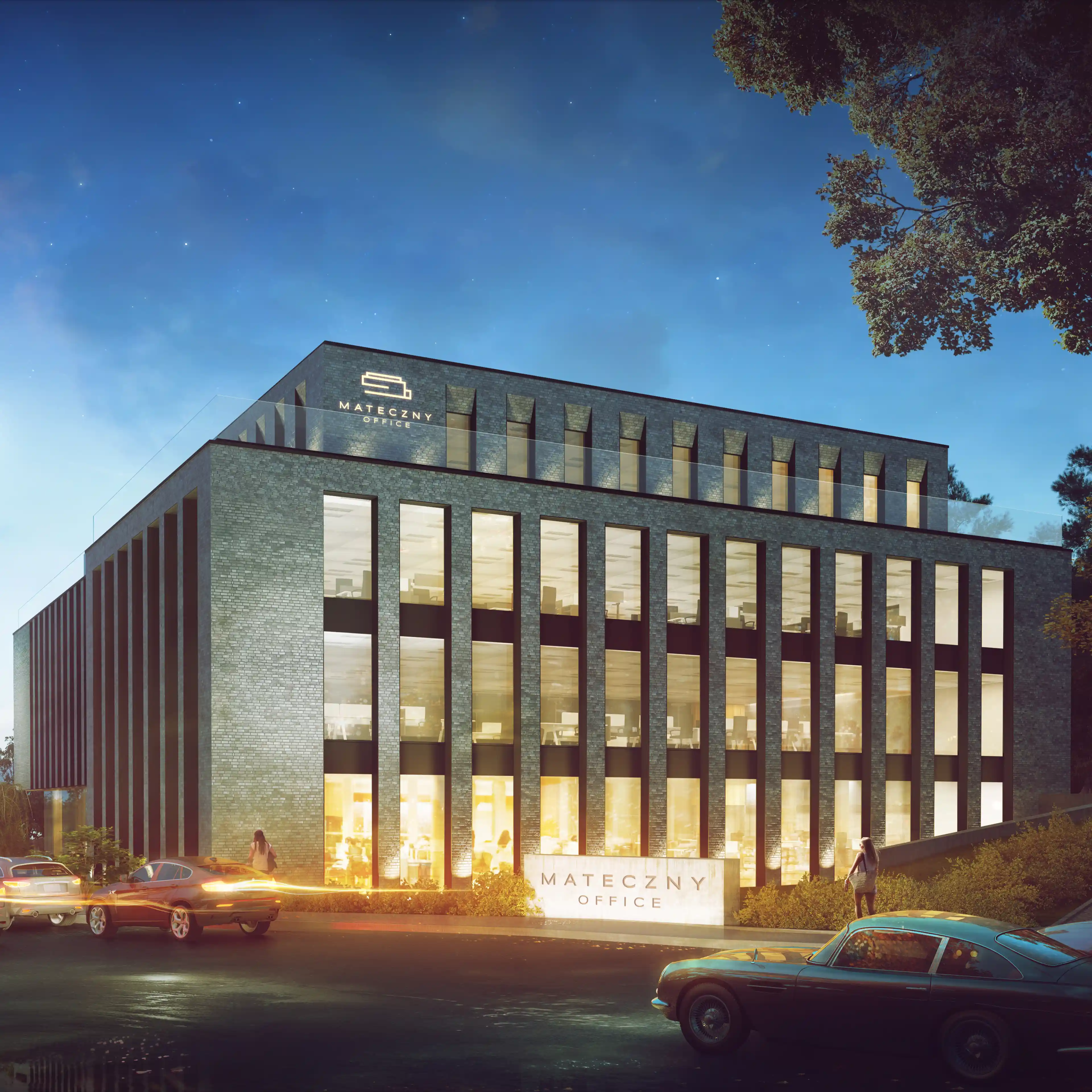 MATECZNY OFFICE, Zamoyskiego 81, Krakow, Południe