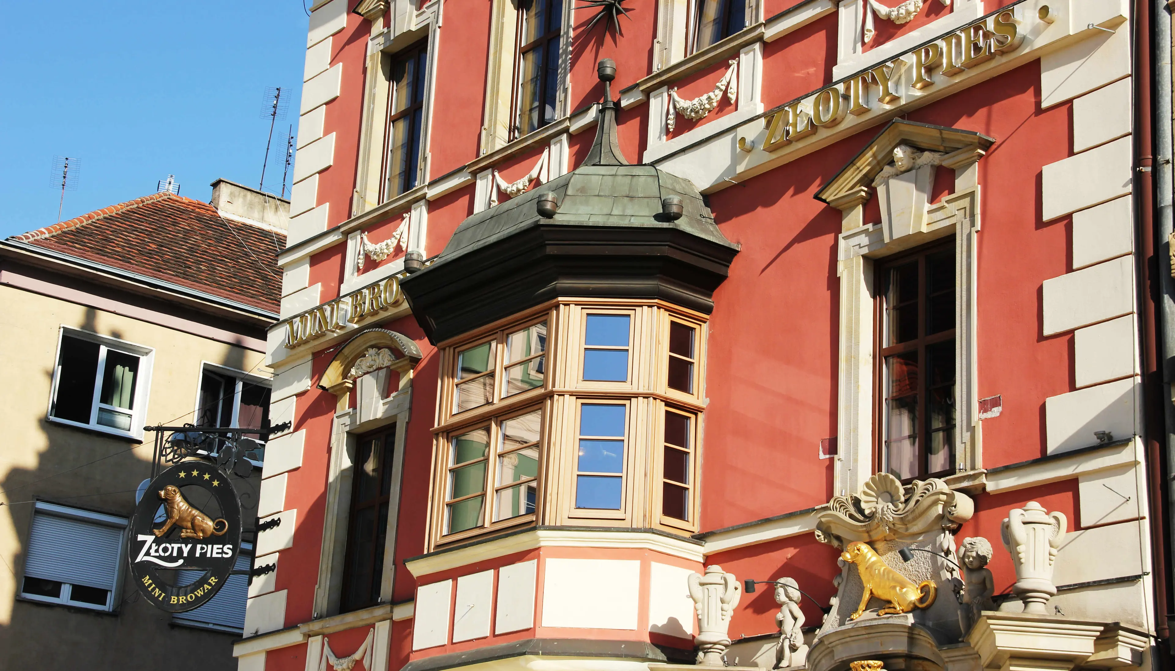 Pod Złotym Psem, Rynek 41, Wrocław, Stare Miasto
