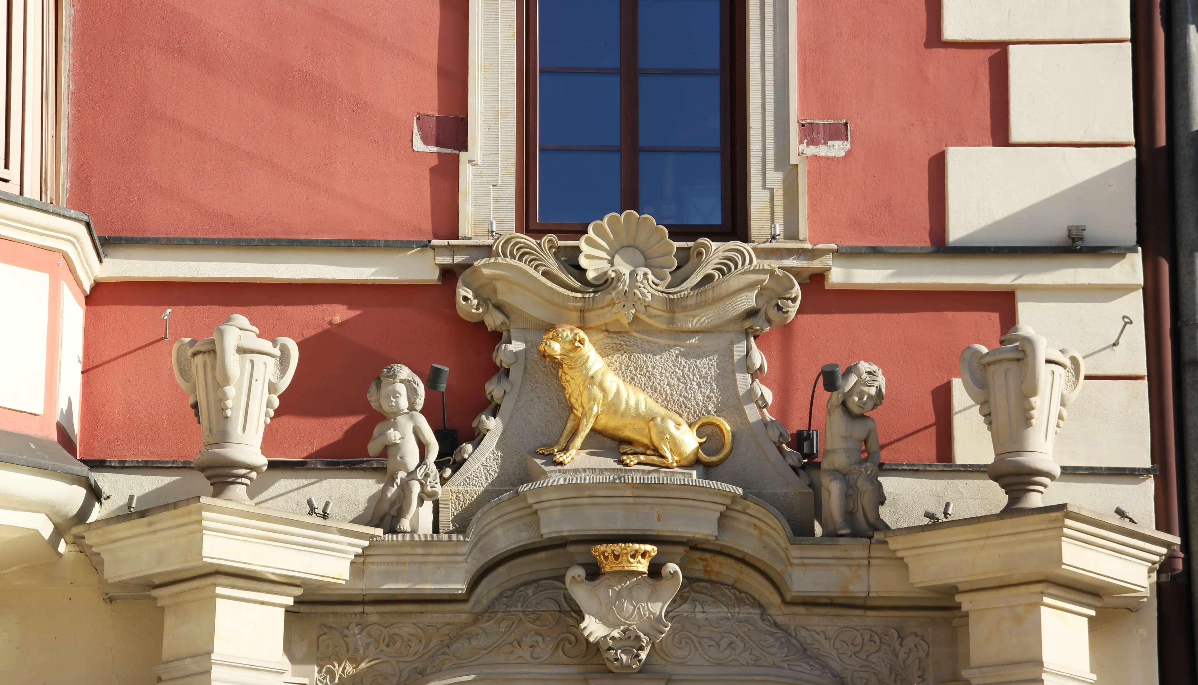 Pod Złotym Psem, Rynek 41, Wrocław, Stare Miasto