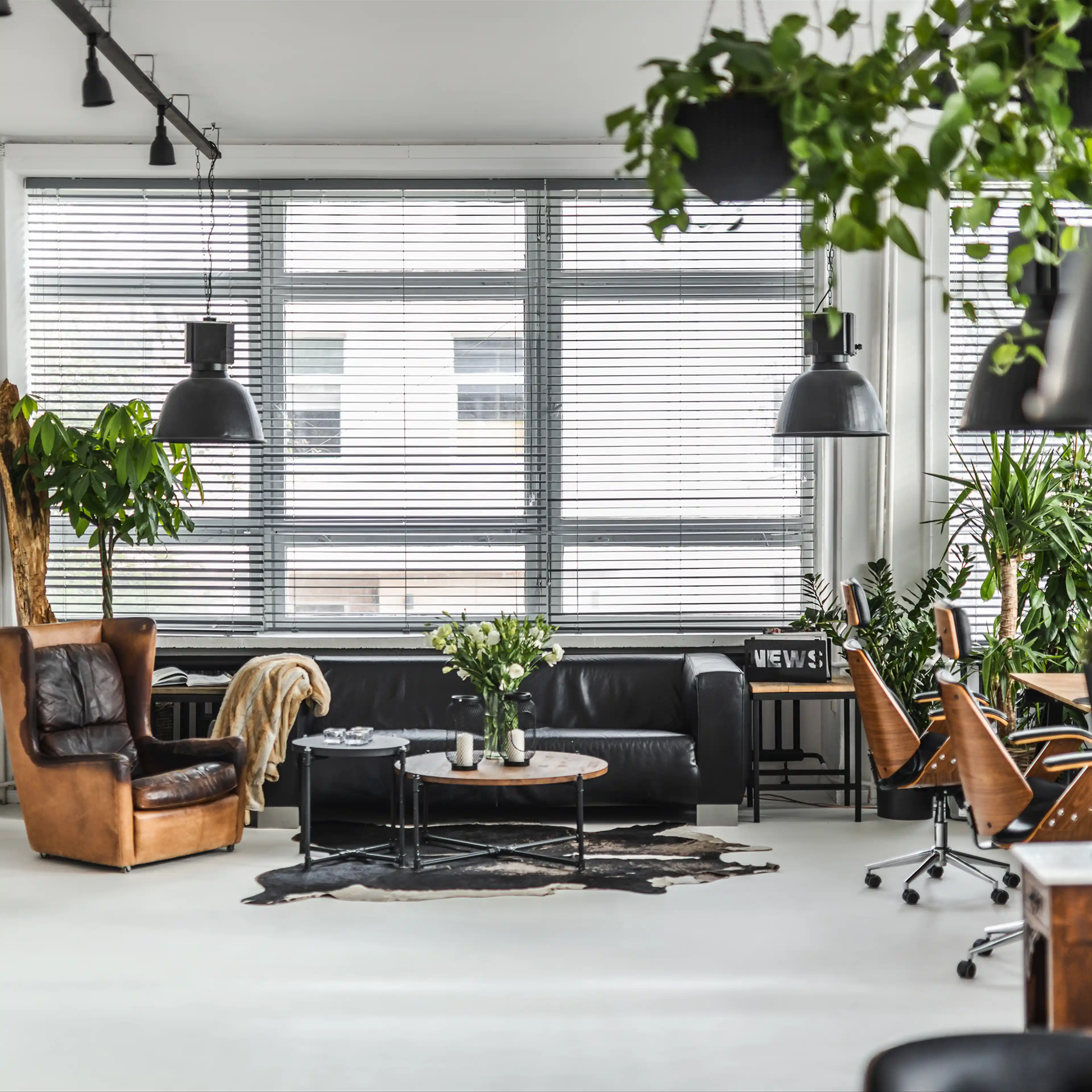 TEO PARK, Wersalska 47, Łódź, Bałuty