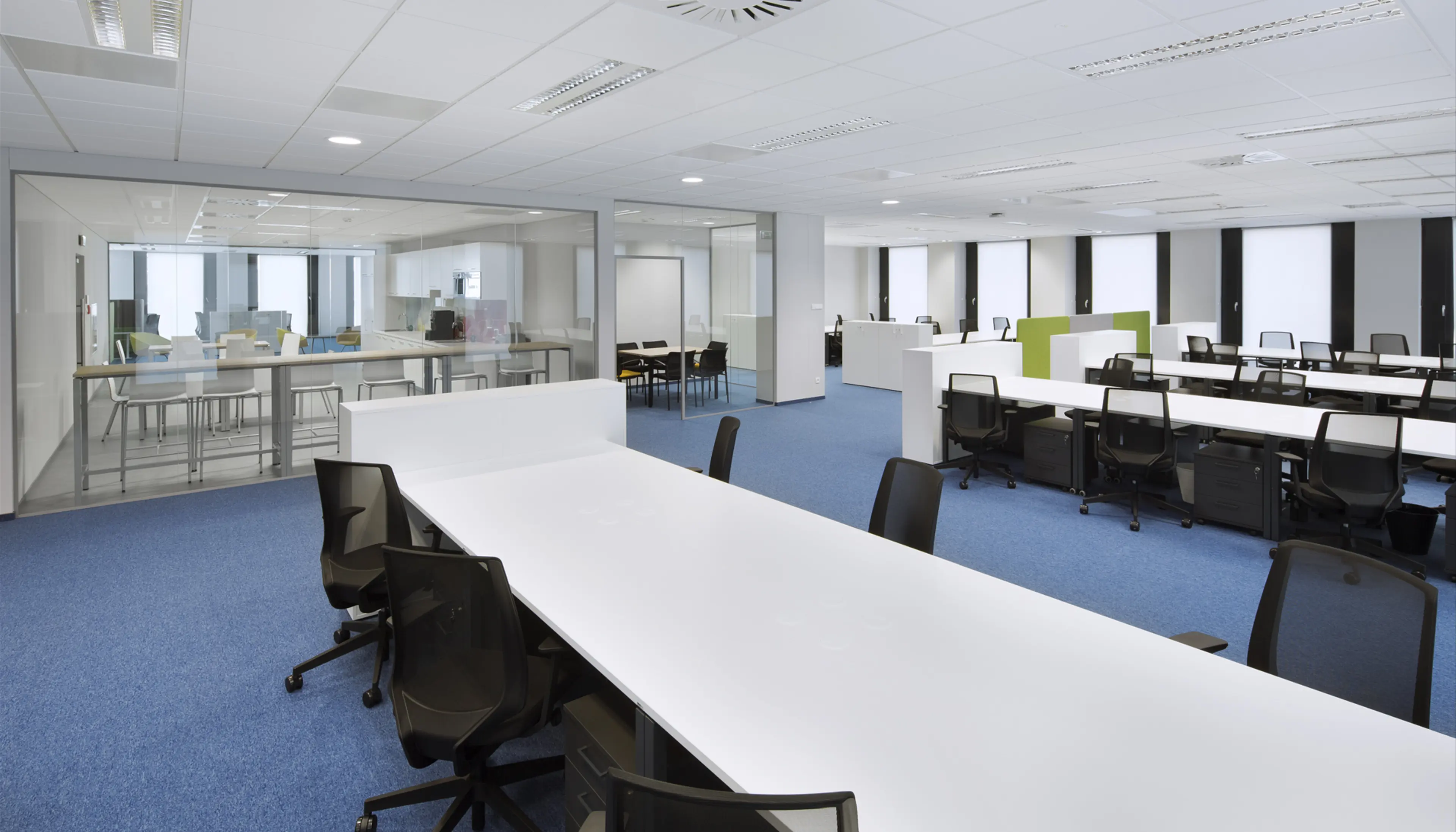 Nobilis Business House - Biura serwisowane, Marii Skłodowskiej Curie 12, Wrocław, Śródmieście