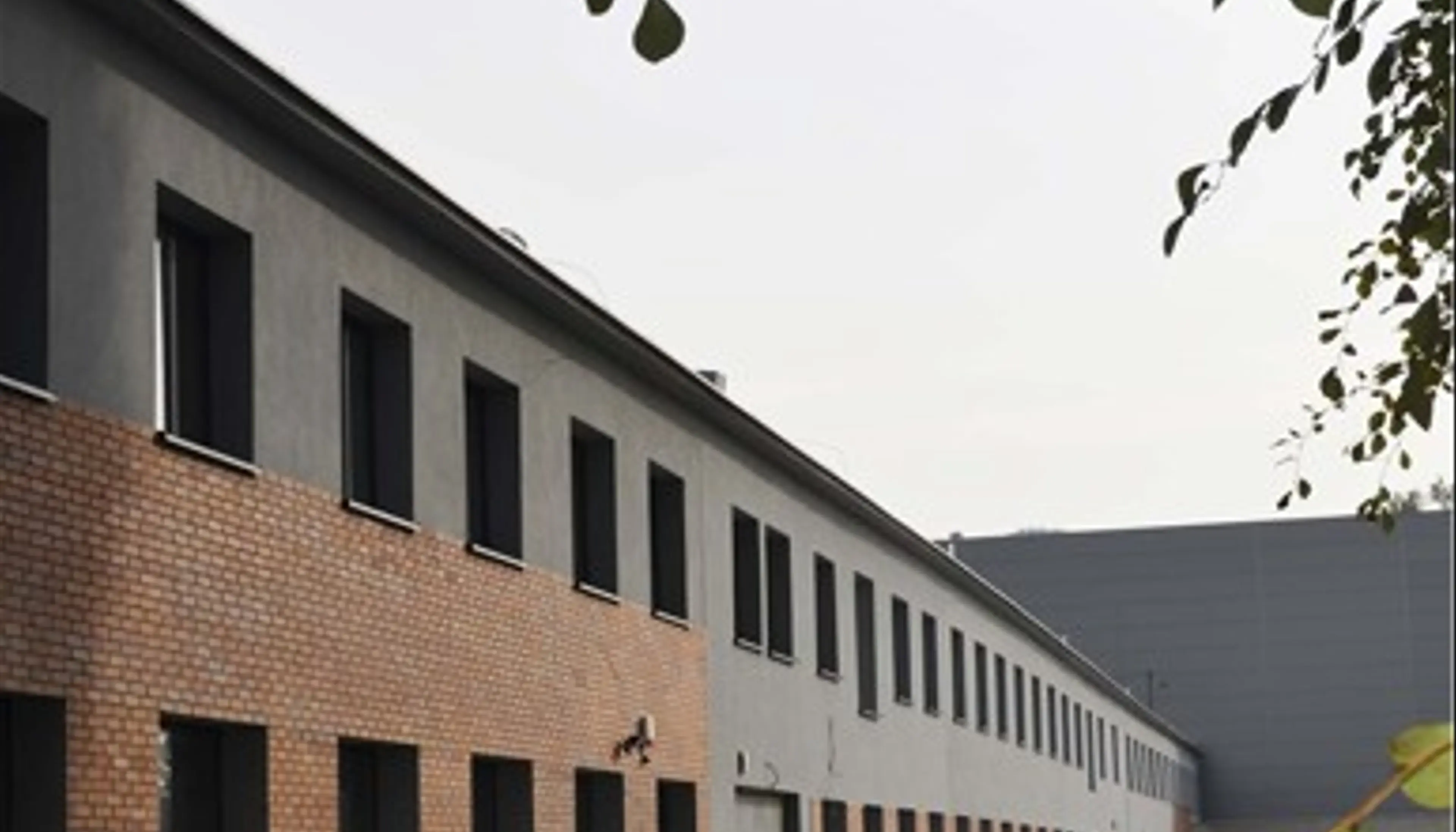 Centrum Usługowe ŻELAZNA 15B, Żelazna 15B, Katowice, Dąb