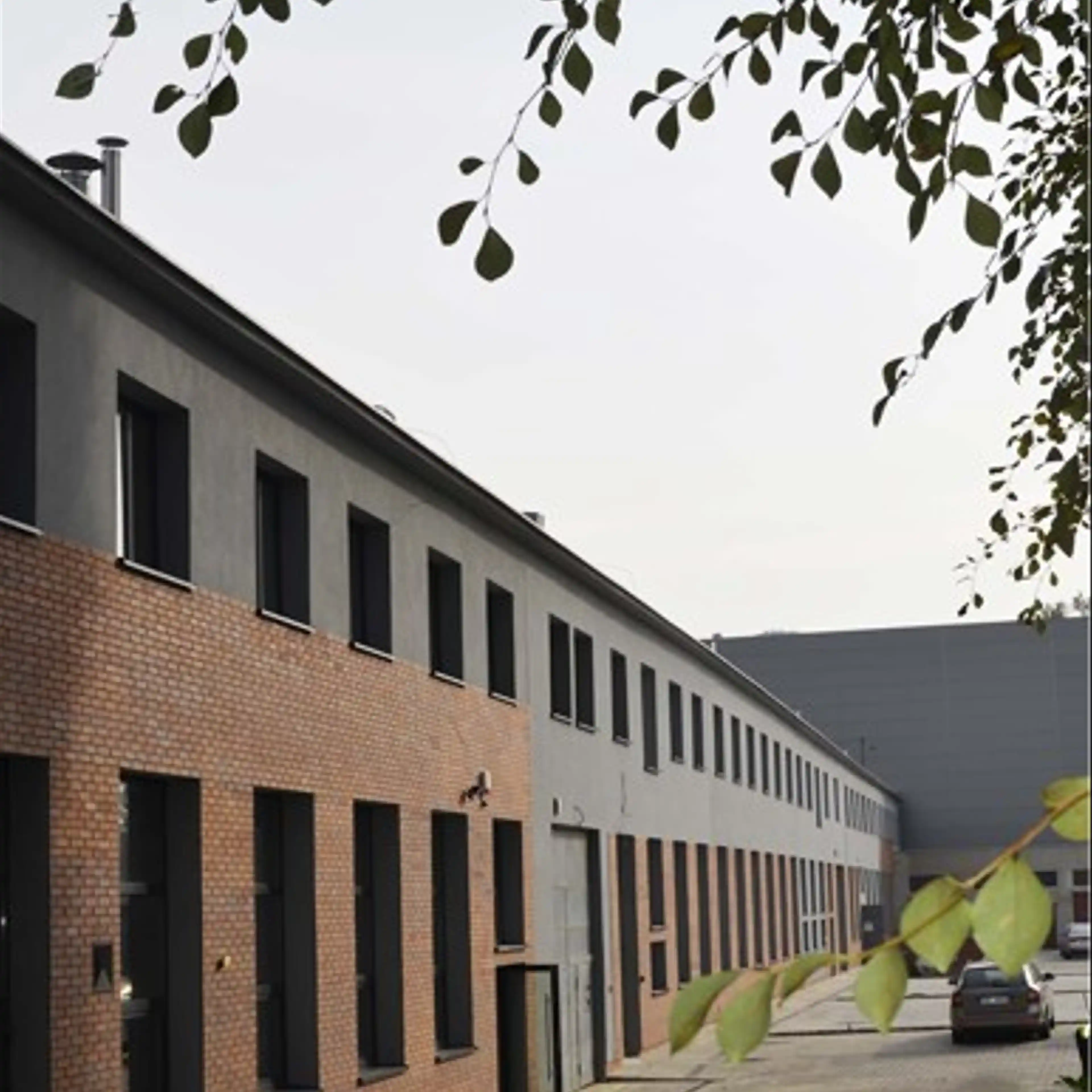 Centrum Usługowe ŻELAZNA 15B, Żelazna 15B, Katowice, Dąb