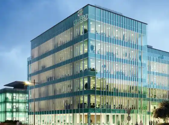 CELEBRO stawia pierwsze kroki